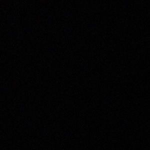 Meet your Posher, Bo